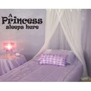  A Princess Sleeps Here Child Teen Vinyl Wall Decal Mural Quotes 