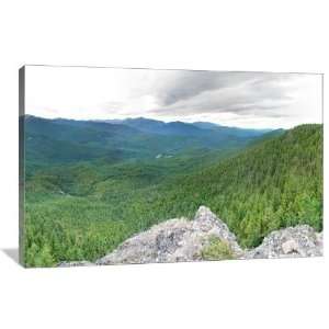 Dense Forest   Gallery Wrapped Canvas   Museum Quality  Size: 48 x 32 