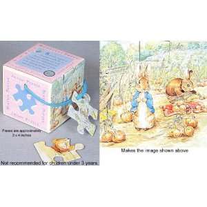  Beatrix Potter Peter Rabbit Mini Cube Puzzle: Toys & Games