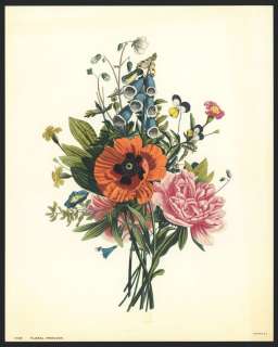  Louis Prevost Vintage Botanical Print Poppies Peony Foxglove  