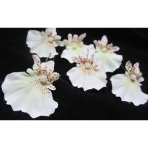  NEW White Dancing Lady Oncidium Orchid Hair Pins   Set of 