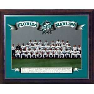  Florida Marlins 1993 Inaugural Season Healy Plaque Sports 