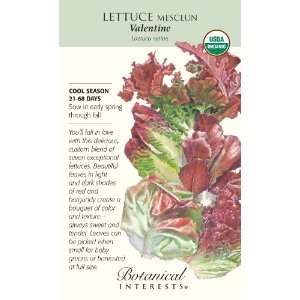  Valentine Organic Mesclun Lettuce Seeds   Large Packet 