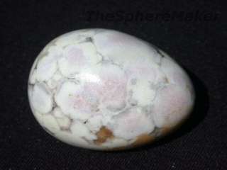 King Cobra Jasper Egg