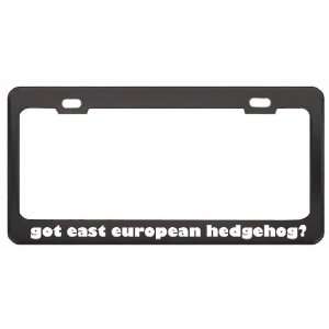 Got East European Hedgehog? Animals Pets Black Metal License Plate 