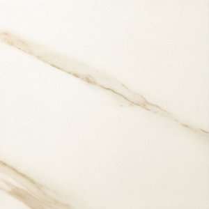 Timeless Collection 19 9/16 x 19 9/16 Field Tile in Calacatta Pearl