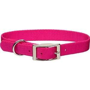   Personalized Dog Collar in Pink Flamingo, 5/8 Width: Pet Supplies