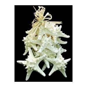 Starfish 12 Knobby White 4 to 6 Stars in a Net Bag Great for a Beach 