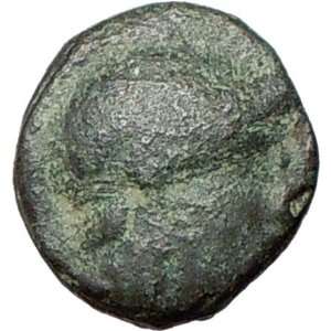   282BC Rare Authentic Ancient Greek Coin Athena Coiled cosmic serpent
