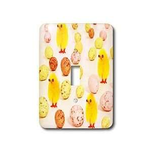 Sandy Mertens Easter   Chicks and Eggs   Light Switch Covers   single 