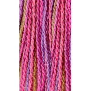   Silky Alpaca Lace Handpaints Cosmos 2464 Yarn Arts, Crafts & Sewing