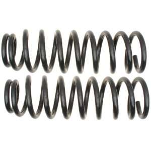  Raybestos 585 1453 Professional Grade Coil Spring Set 