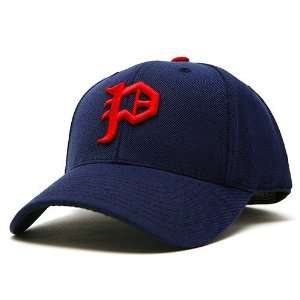   1925 Navy Throwback Fitted Cap by American Needle: Sports & Outdoors