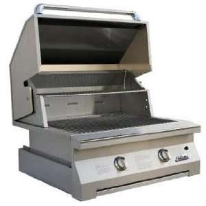 Solaire Gas Grills 30 Inch Built in All Convection Natural Gas Grill 