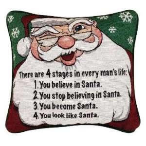   Stages In Every Mans Life Pillow, 12 1/2 by 8 1/2 Inch Home