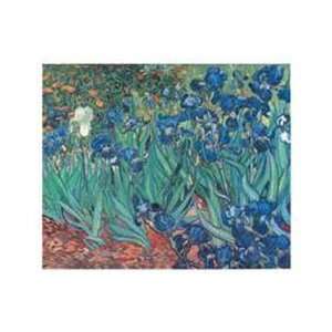   Garden, Saint Remy, c.1889 by Vincent Van Gogh 28x20