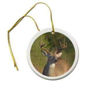 Beautiful DEER Buck with Antlers 2 7/8 inch Hanging Ceramic Ornament