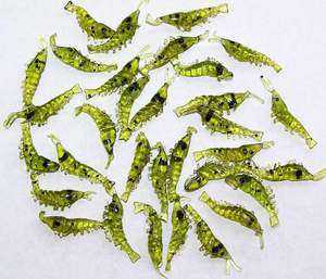   Green Trout Bass Crappie Scented Micro Shrimp Lures 4cm NEW  
