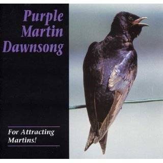Purple Martin Conservation Products   Dawn Song CD   Purple Martin 