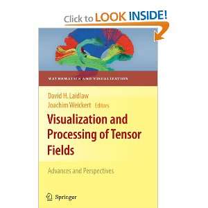  Visualization and Processing of Tensor Fields Advances 