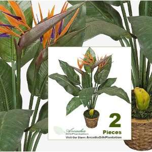   34 Bird of Paradise Artificial Tropical Silk Plants: Home & Kitchen