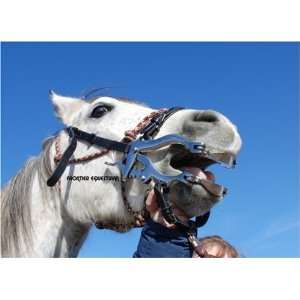 Horse mouth speculum dental device stainless steel  Sports 