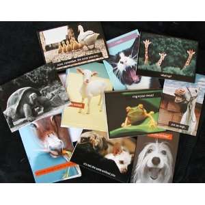  Variety Pack of 40 Greeting Cards & Envelopes: Office 