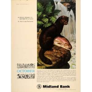   Ad Midland Bank Leigh Pemberton Mink Rainbow Trout   Original Print Ad