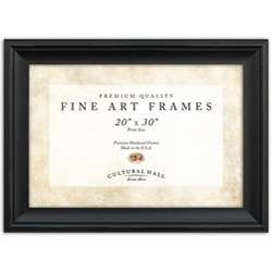 Fine Art Frames 20x30 Classic Two tone Photo Frame  