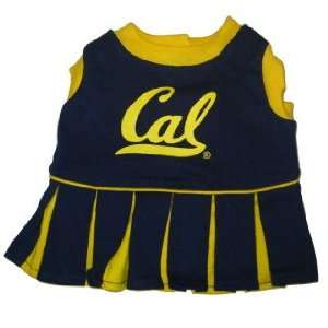   Bears NCAA pet dog cheerleader dress SM 8 15lbs: Pet Supplies