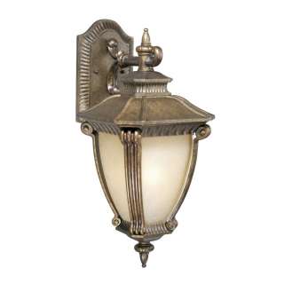 NEW 1 Light Lg Outdoor Wall Lamp Lighting Fixture, Gilded Bronze 