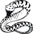 RATTLE SNAKE S203 DECAL GRAPHIC CAR TRUCK SEMI SUV VAN items in 