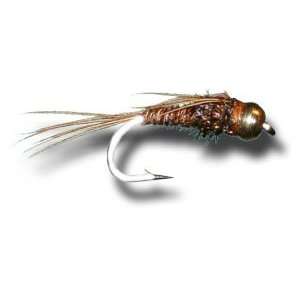   : Tungsten BH Pheasant Tail Nymph Fly Fishing Fly: Sports & Outdoors