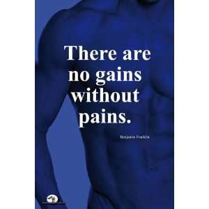   Poster / There Are No Gains Without Pains 