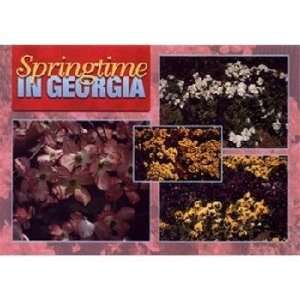  Georgia Postcard 13146 Springtime Georgia Case Pack 750 