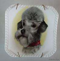 Royal Adderley DANDY DINMONT Terrier Dog Small PLATE  