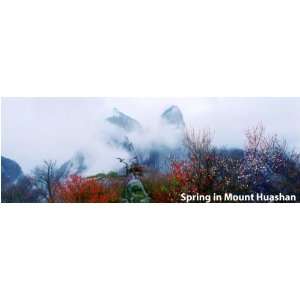  Mt. Hua Series Spring in Mount Hua Photographs by 