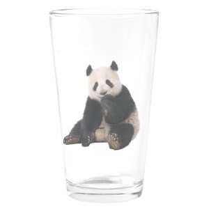  Pint Drinking Glass Panda Bear Youth 