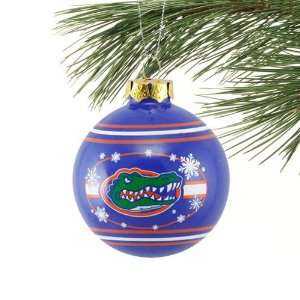  Florida Gators 2010 Snowflake Glass Ball Ornament: Sports 
