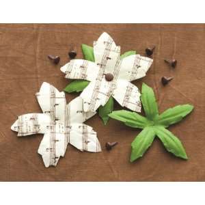    Making Memories Noel Poinsettia Music Notes Arts, Crafts & Sewing