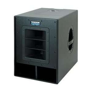   Active High Output 15 Inch Subwoofer System: Musical Instruments