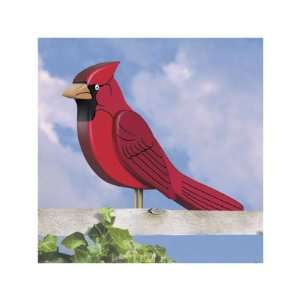  3D Cardinal Plan (Woodworking Project Paper Plan)