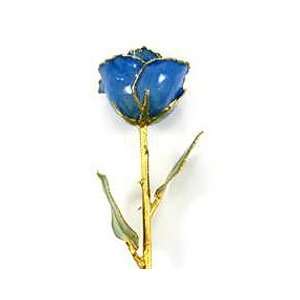  REAL FLOWER Blue Rose 12in Stem Gold Plated Preserve 