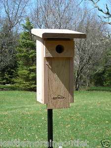 Eastern Bluebird Nestbox Bird House  