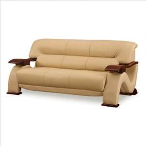 Global Furniture USA 2033 Series Sherman Leather Sofa Color: Cappucino 
