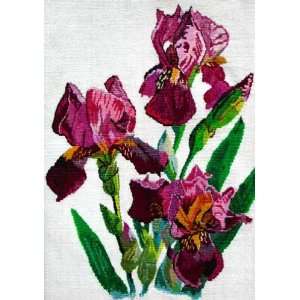   Irises    24 x 40 / 60x100 cm    Flowers 