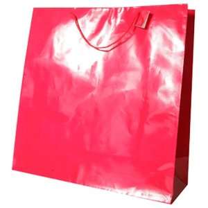   21 x 21 x 8) Glossy Gift Bag   Bags sold individually
