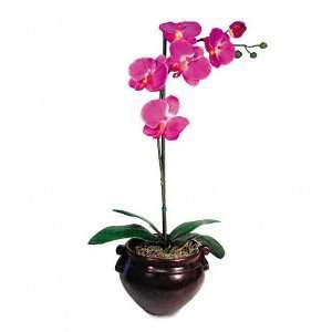  Nu Dell : Artificial Purple Orchid in a Mahogany 