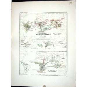 Johnston Antique Map 1856 Mammiferous Animals Pachydermata 