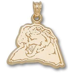  University of Pittsburgh Panther Head 1/2 Pendant (14kt 